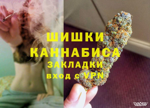шишки Баксан