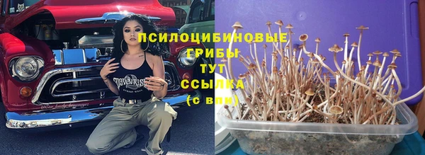 шишки Баксан