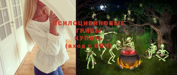 шишки Баксан