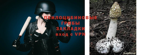 МДПВ Балахна